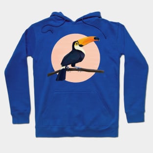 Toucan Hoodie